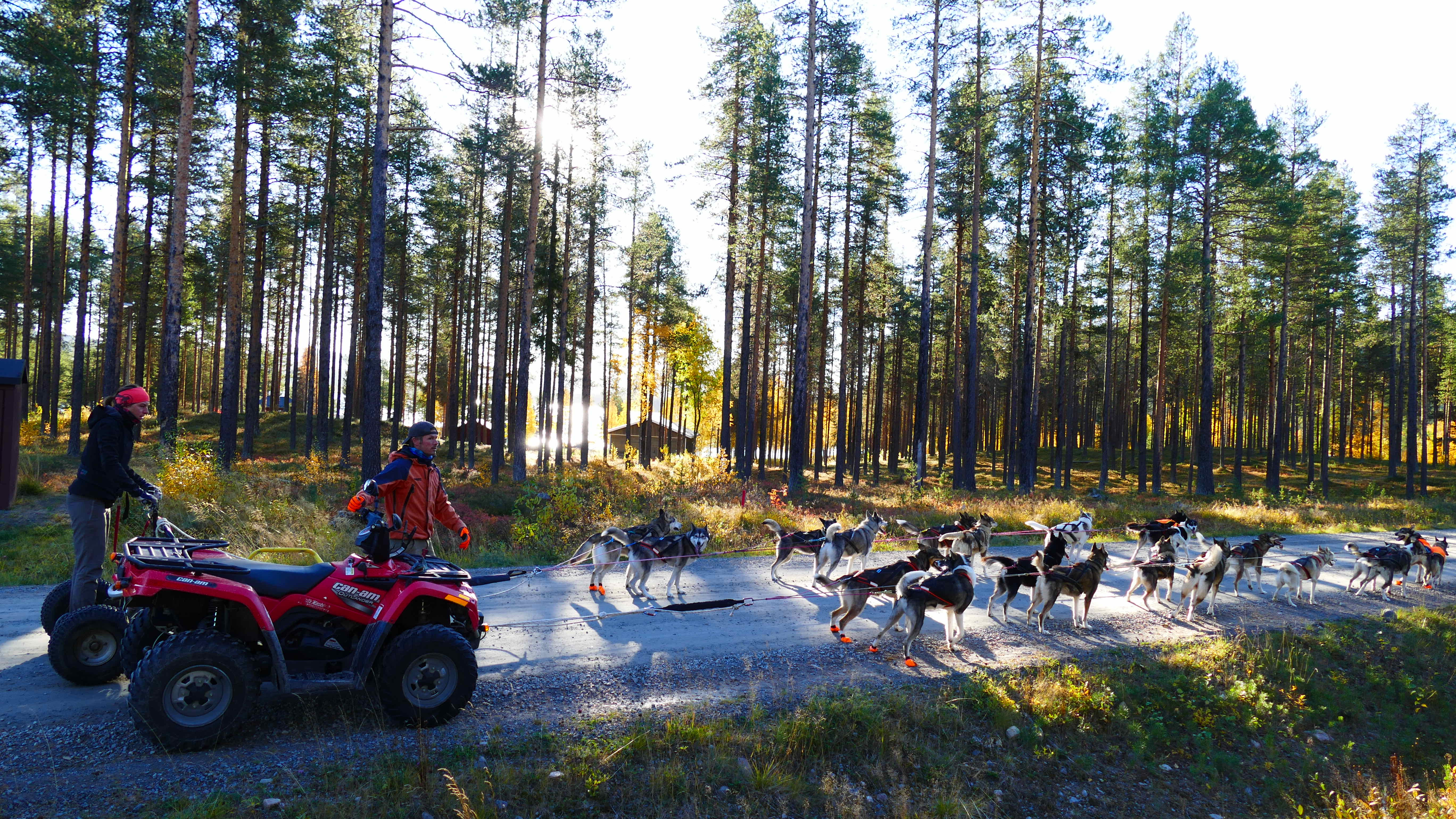 attelage husky