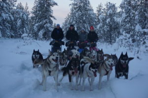 sleddogs tours