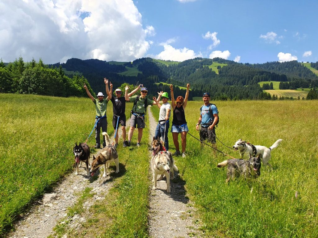 groupe canirando chien de traineau