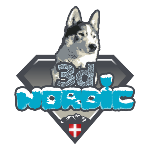 logo 3d Nordic